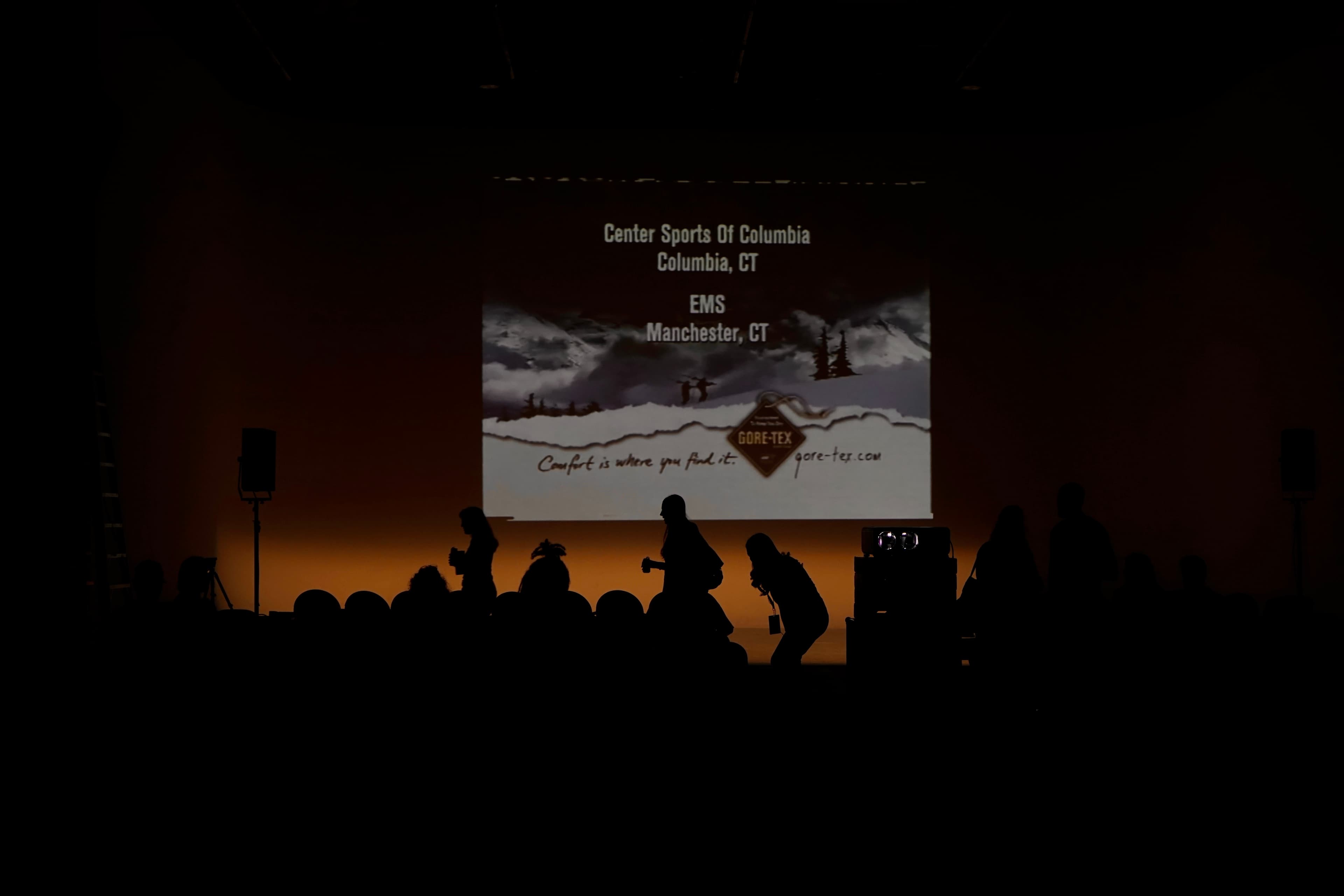 Audience silhouettes in front of the film screen